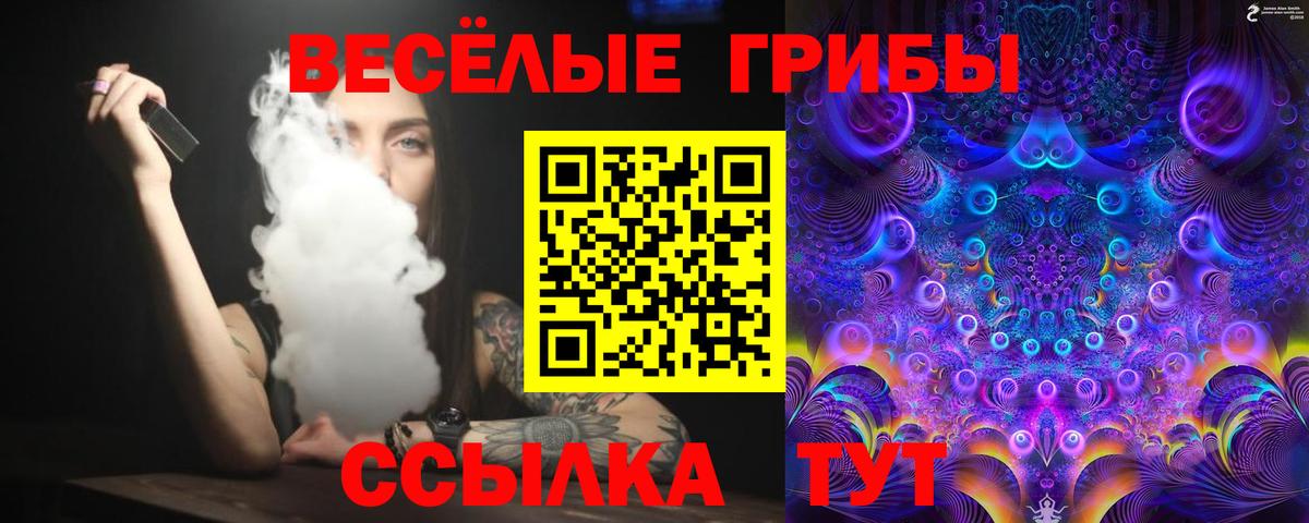Псилоцибиновые грибы Psilocybe  Вход с VPN  Торжок 